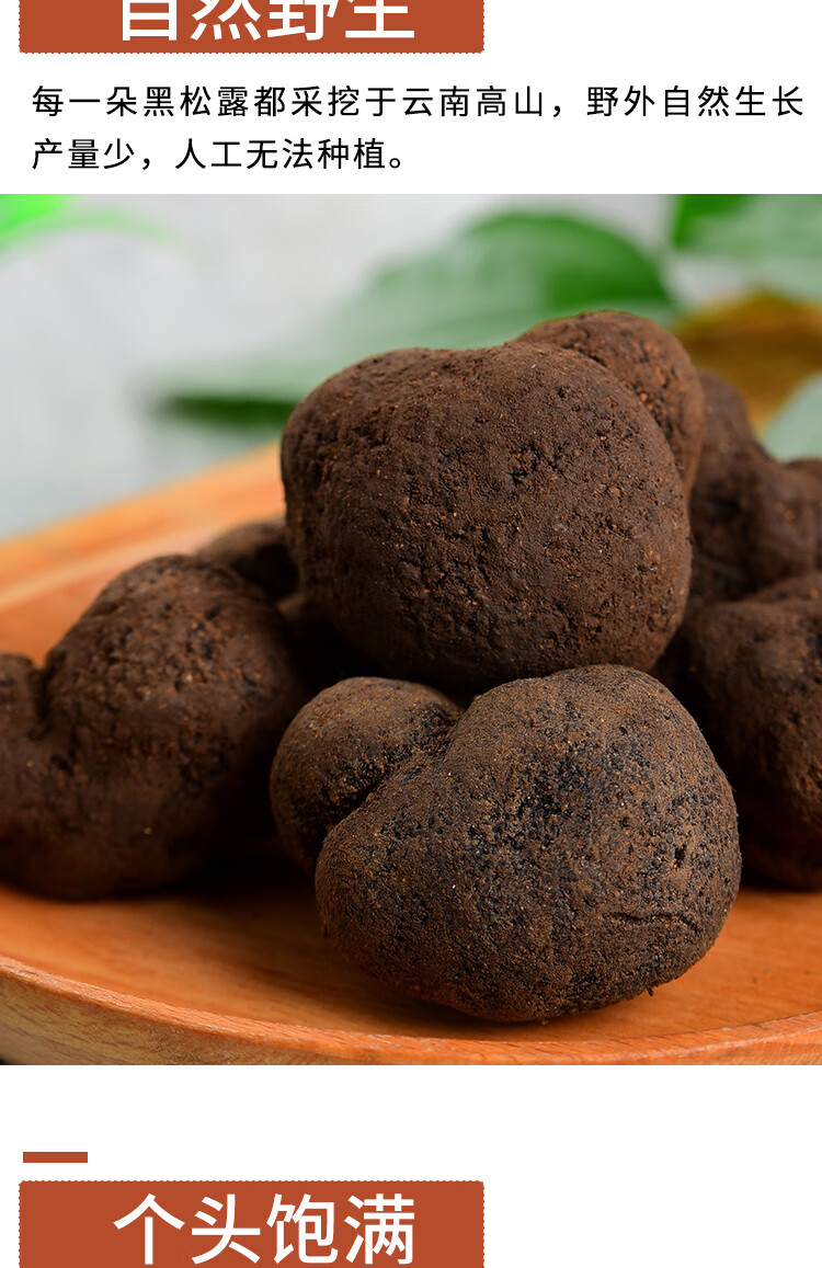 【大姚助农馆】云南新鲜冻黑松露 冻松露菌出口级猪拱菌 礼品 泡酒