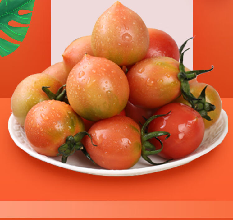 春桃柿子圣女果小番茄孕妇新鲜水果当季3斤