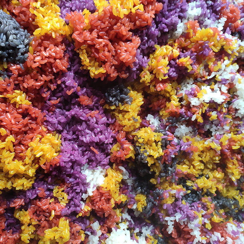 广西五色糯米饭紫色花米饭植物染料五彩米紫蓝草红蓝草紫色500g【图片