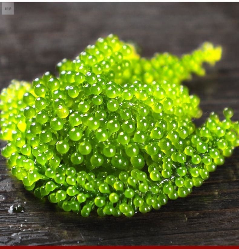 盐渍海葡萄100g海带丝新鲜即食海藻菜小零食裙带菜寿司绿色鱼子酱海