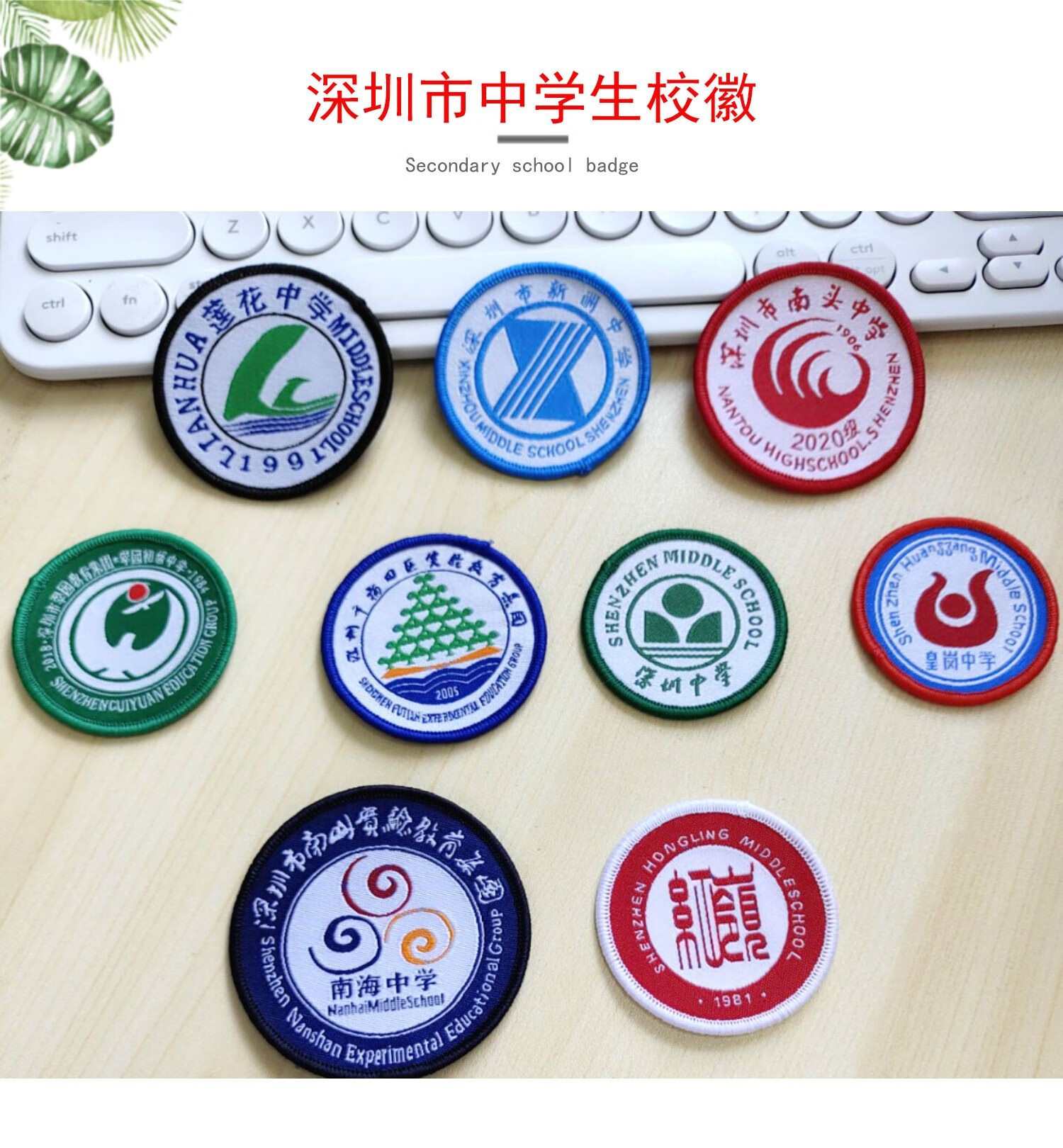 深圳中学校徽 深圳中小学生校徽 南海翠园红岭莲花实验中学外国语学校