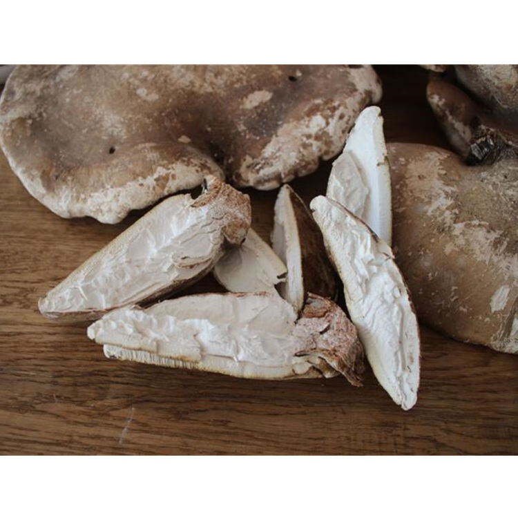 长白山灵芝 桦剥管菌白玉灵芝整只切片打粉 野生白灵芝 500克【图片