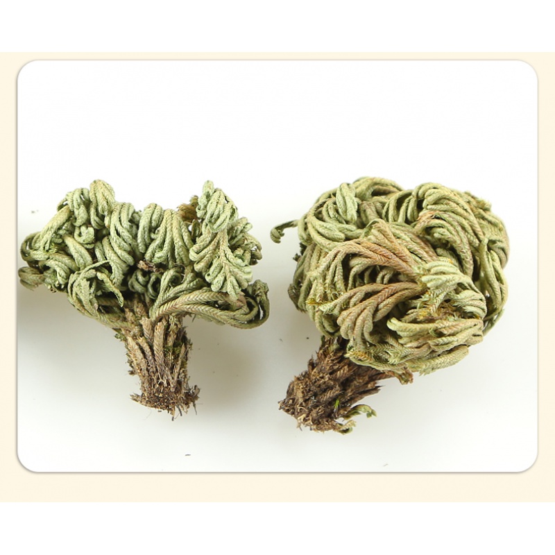 卷柏中药材250g克九死还魂草非特级水洗无沙卷伯