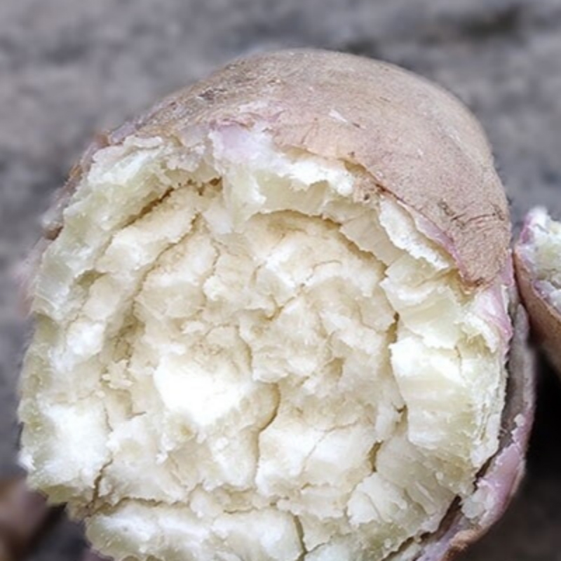 高州爆皮王白心面包王番薯新鲜粉糯板栗红薯农家现货干面地瓜 9斤