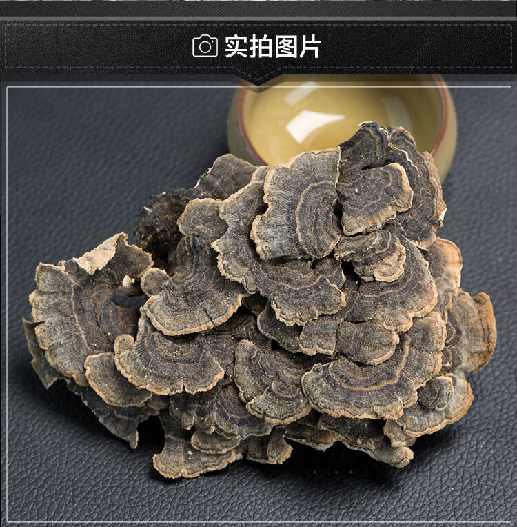 云灵芝伟博云灵芝 云南深山灵芝 整枝灵芝林芝青灵芝 500克【图片