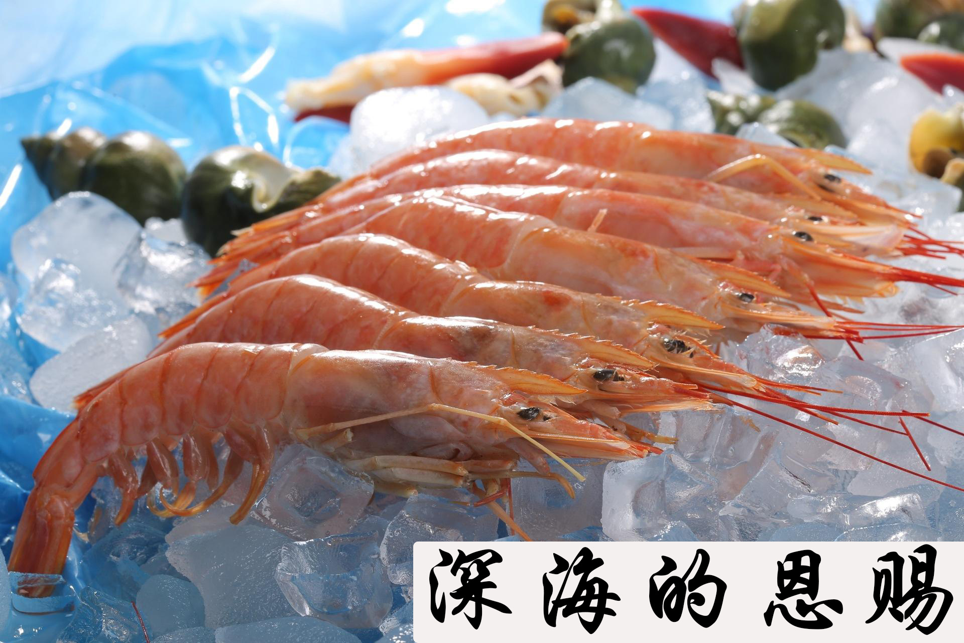 进口阿根廷红虾l1 2kg船冻红虾刺身大虾阿根廷大红虾 2000g 21-22cm