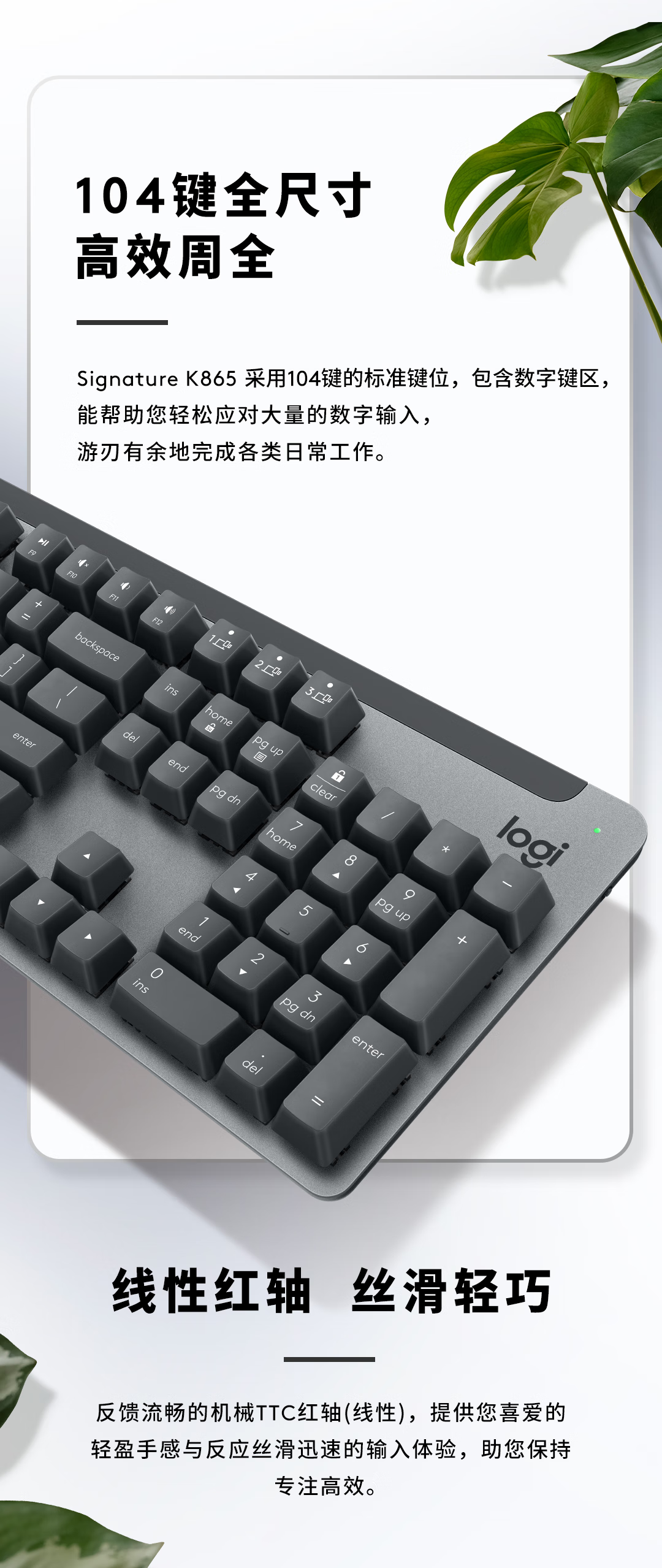 4ba1a935a1a75661.png