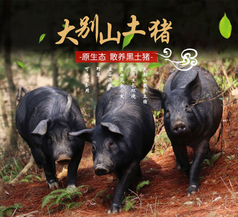 【顺丰冷运】黑毛土猪尾巴大别山新鲜农家黑猪尾200g/条 猪尾巴200g