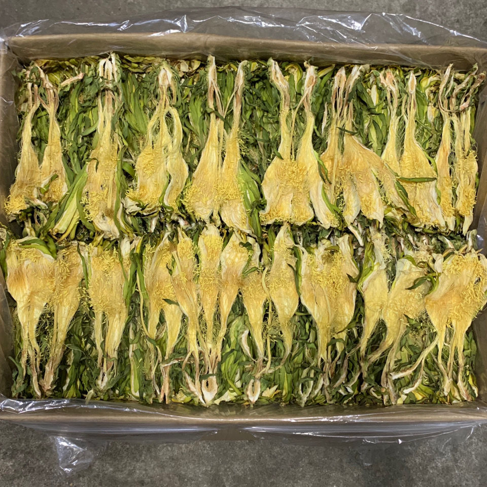 6折2021新货霸王花干货煲汤料无硫剑花干正宗广东肇庆农家土特产 250g