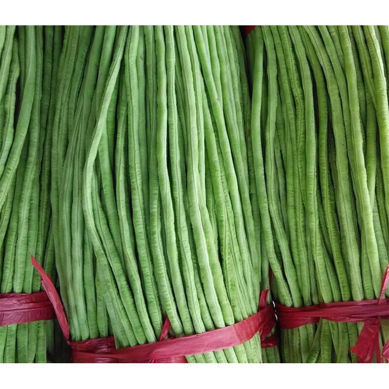 适用于苏北新鲜长豆角菜豆长豆角嫩豆角豇豆3斤装露天种植现摘现发