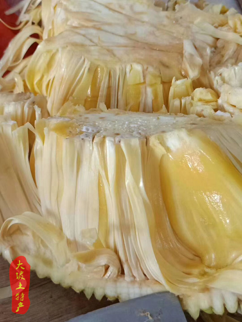 采缇正宗高州手撕湿包菠萝蜜新鲜干包黄肉波罗非进口越南红肉菠萝高州