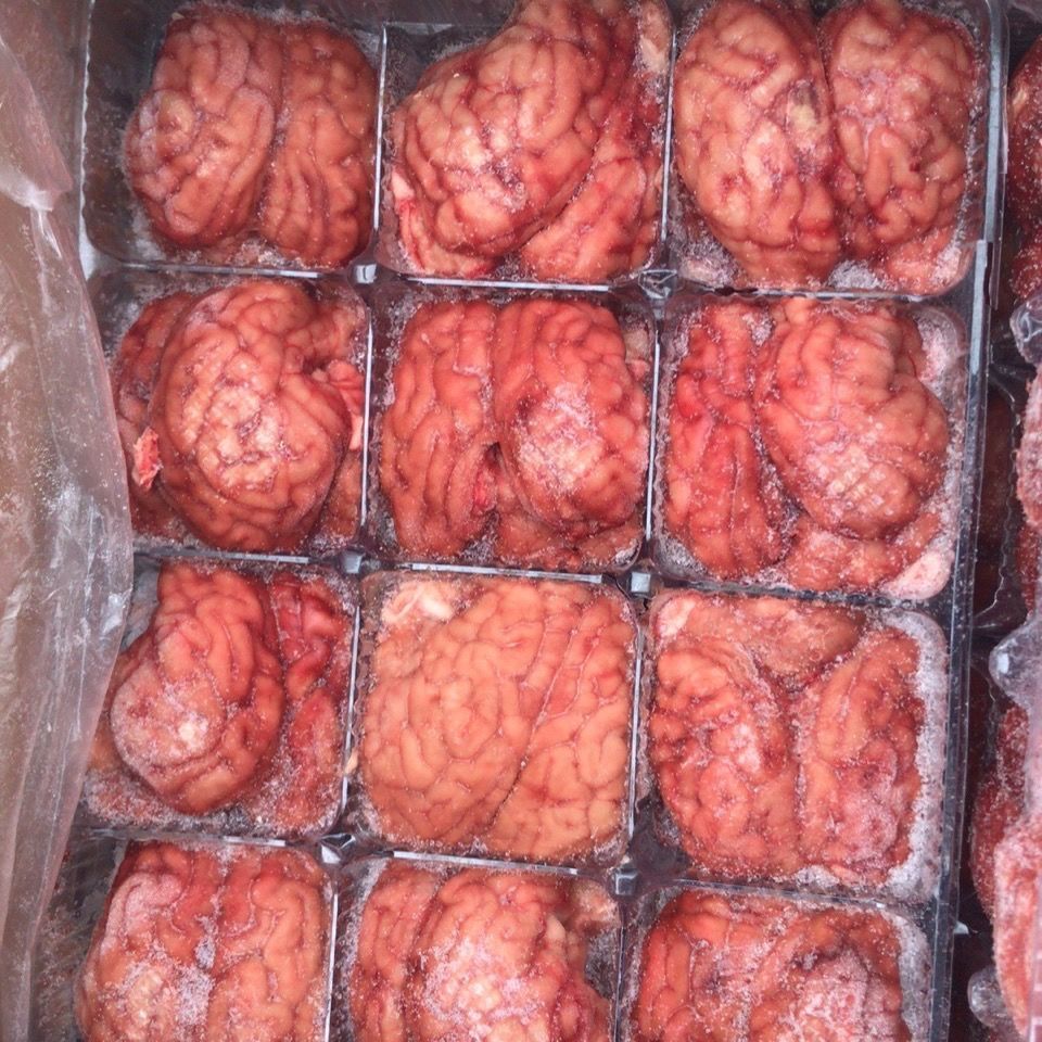 新鲜冷冻猪脑猪脑子猪脑花大猪脑子猪脑髓火锅自助餐 8副【图片 价格 