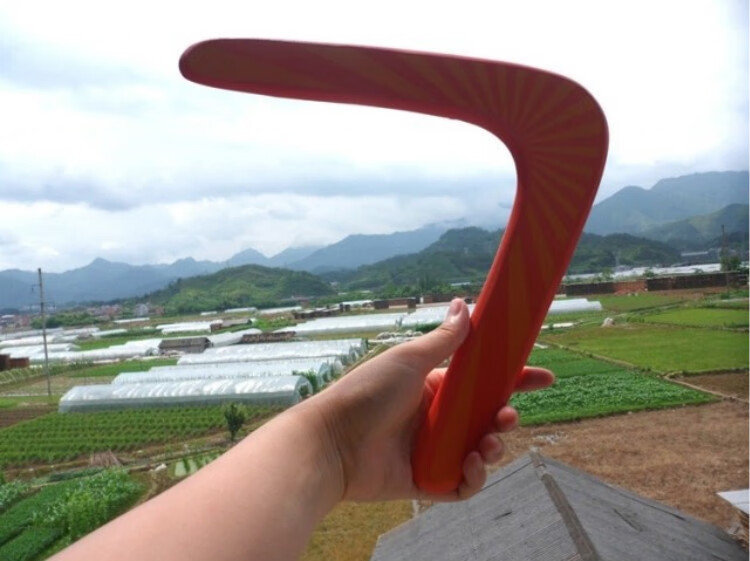 迷铭乐 抖音网红同款木制儿童回旋镖飞去来器v型飞盘户外玩具回力镖