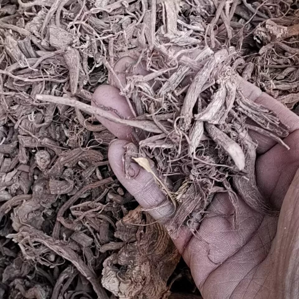 北京同仁嘡原料 贵州干大红活麻根 野生红荨麻草根红禾麻高原红霍麻干