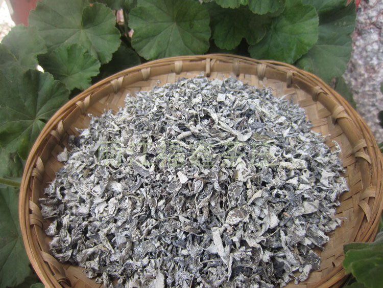 丽江雪茶 雪山古茶 古藤茶云南白雪毫大理苍山雪茶马帮雪茶 茶马帮