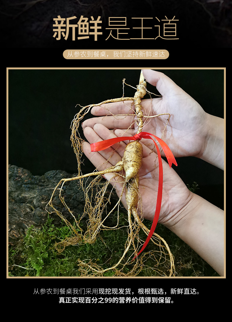 白山扶贫馆人参长白山野山参干参鲜参礼盒装证书一等参东北野生林下参