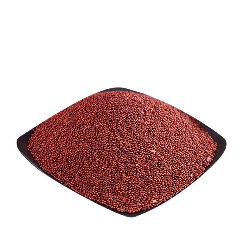 广西特产鸭脚粟龙爪粟拳头粟米粒米粉新米红粟米五谷杂粮陈粟 粟米【3