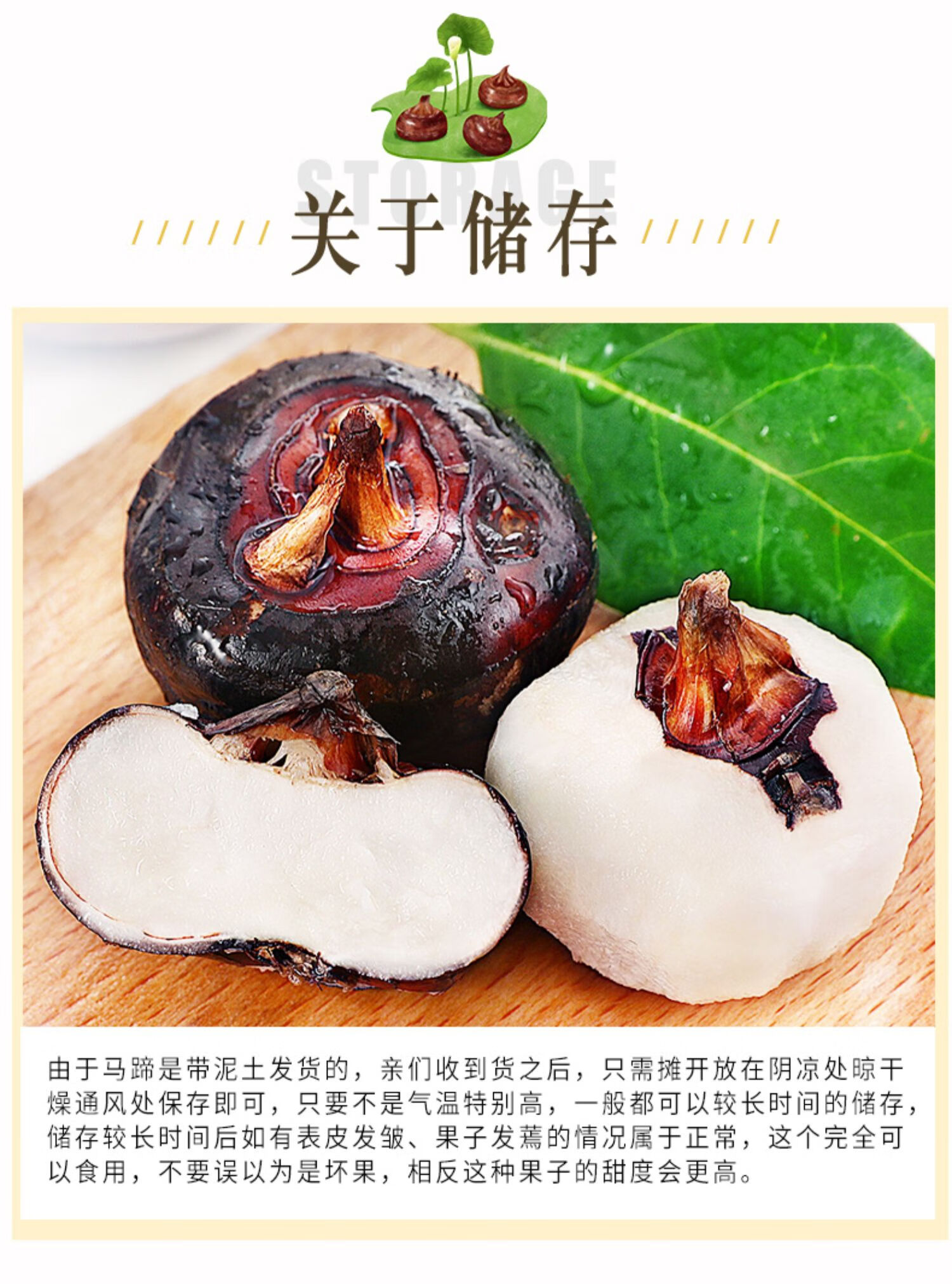 春光岛广西马蹄新鲜荸荠当季水果马蹄果10斤地梨饽荠孛荠农家蔬菜 5斤