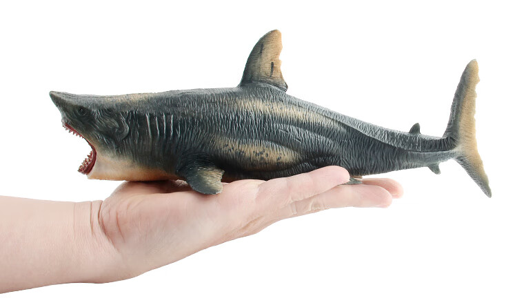 澄可 儿童海底动物模型仿真鲨鱼玩具海洋生物远古巨齿鲨模型大白鲨
