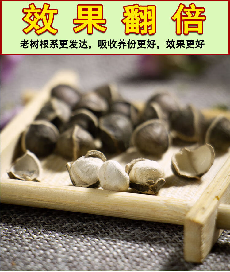 辣木籽的功效100g辡木籽食用辣木仔云南非印度进口那木子 印度进口小