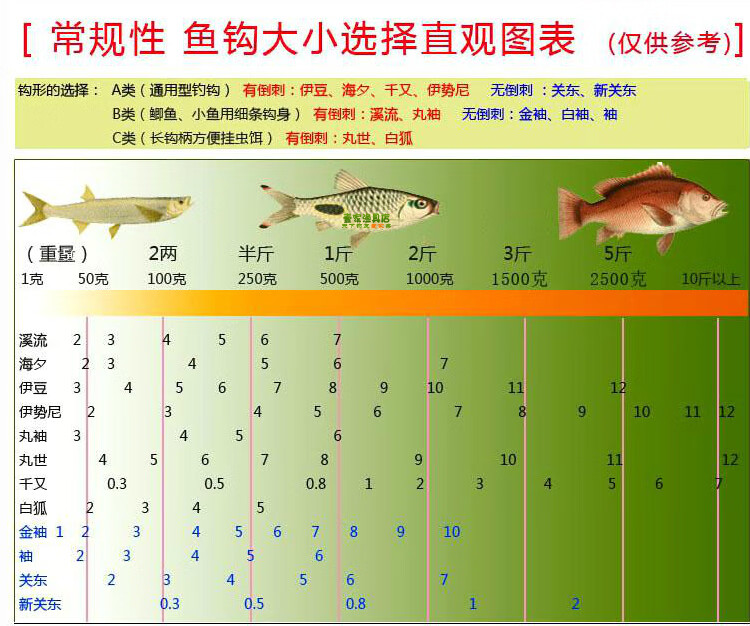 丸世钩对照表图片