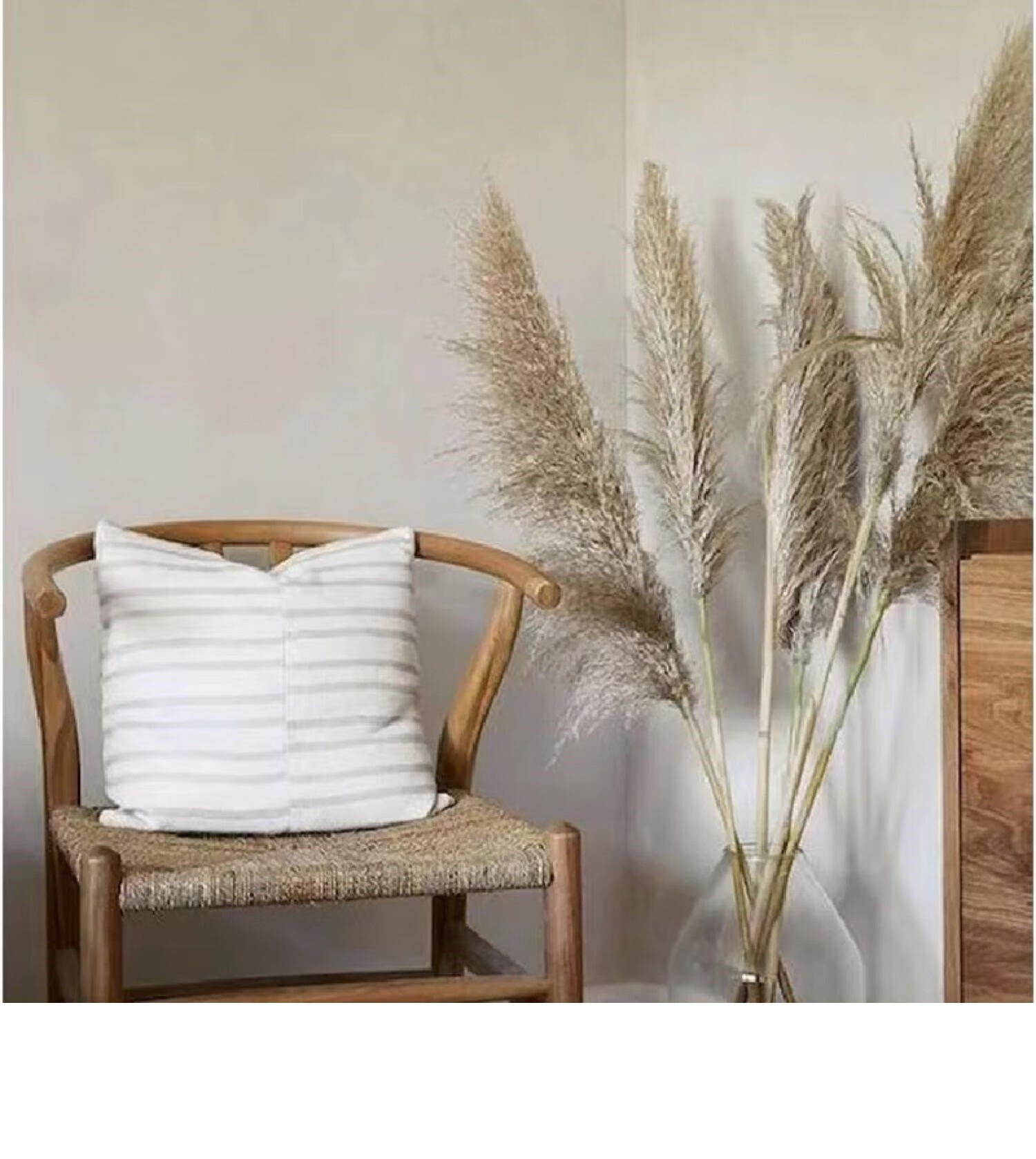 天然芦苇干花网红真花花束客厅摆设蒲苇鲜花装饰阳台摆件ins仿真 本色