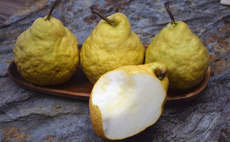 山东中华丑梨太婆梨软糯香甜罕见稀奇稀有水果5斤小果约1113个