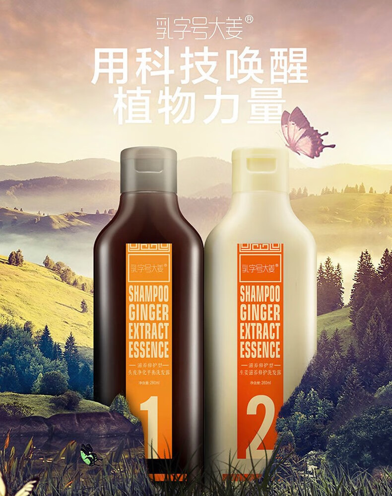 乳字号大姜洗发水乳姜双剂笔去屑止痒液增发 二代二号【图片 价格