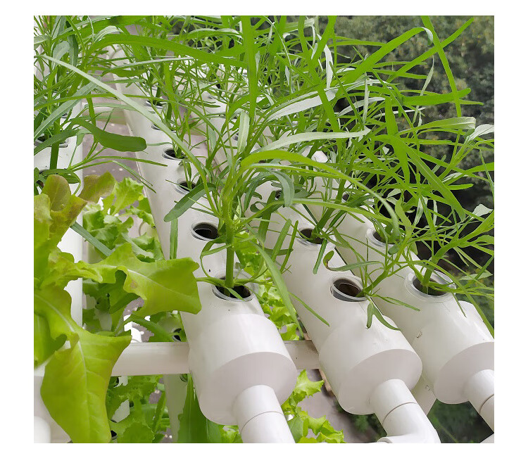 阳台家庭管道式无土栽培设备水培蔬菜种植架自动化水耕多层种菜机新款