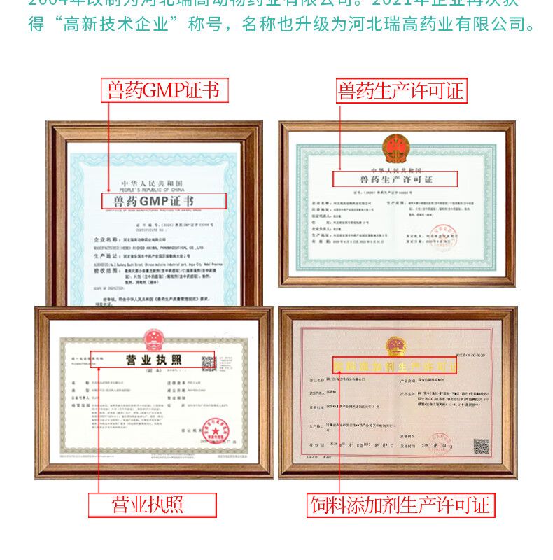 绿健板青败毒口服液兽药鸡滑液囊支原体小鹅痛风药关节肿胀整箱48瓶