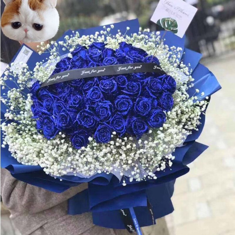 帝王蝶元旦鲜花同城配送老婆66朵蓝色妖姬南宁防城港钦州柳州桂林贵港