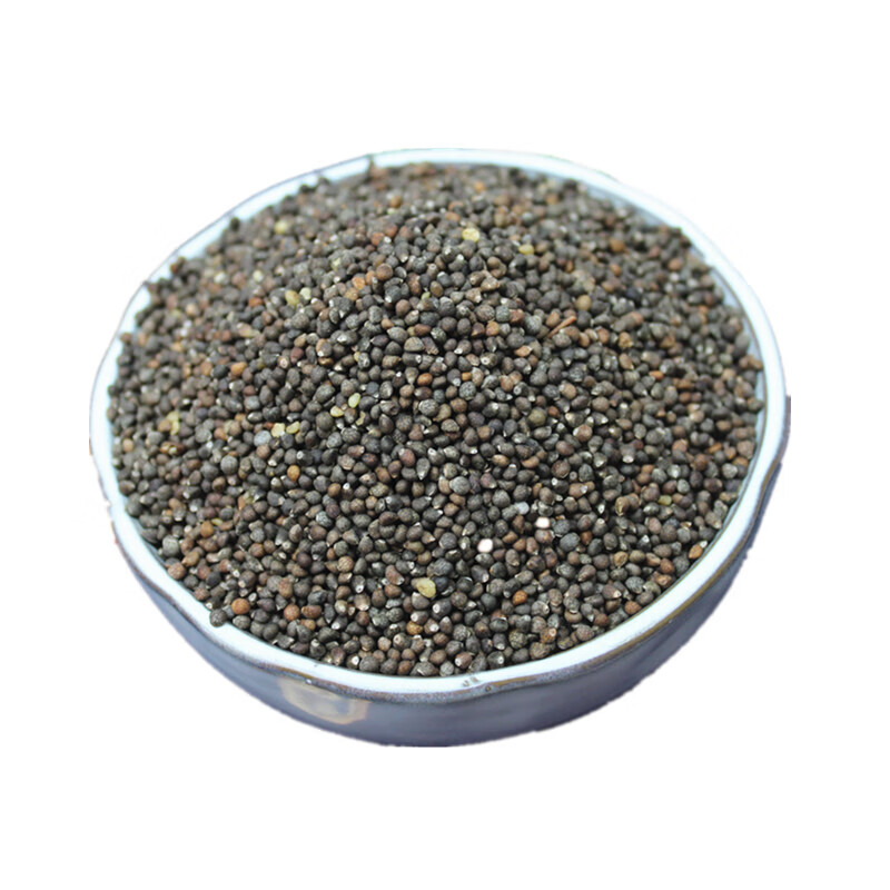 生苏子500g 紫苏生紫苏种子苏子籽苏麻子 榨油料烧烤料 月饼馅料