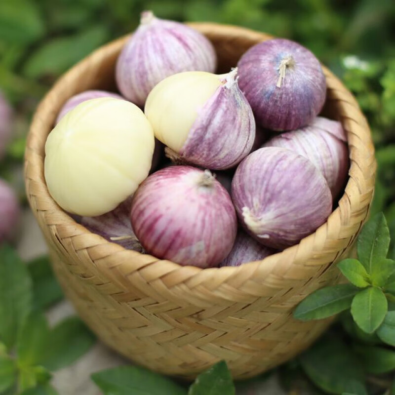 2020新干蒜紫皮独头蒜大个净重1斤特大紫皮独蒜独头大蒜头大蒜 500g