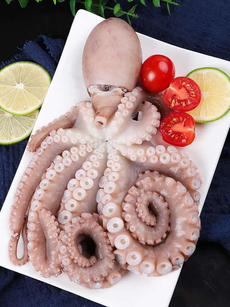 网红爆头大长腿八爪鱼新鲜鲜活大长腿八爪鱼海捕大长腿八爪鱼长腿八爪