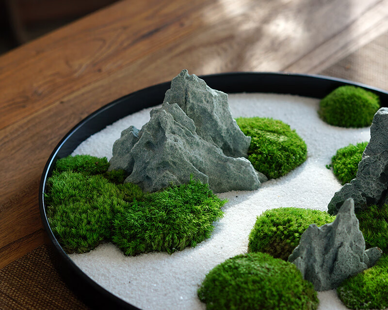 永生白发苔藓微景观新中式日式枯山水盆景售楼处办公桌茶桌面摆件