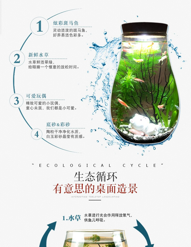 微景观生态瓶观赏鱼虾好养活真水草迷你桌面小鱼缸diy作业礼物生态瓶微景观水族箱造景斗鱼缸韩锦生态瓶圆柱河沙绿菊花 图片价格品牌报价 京东