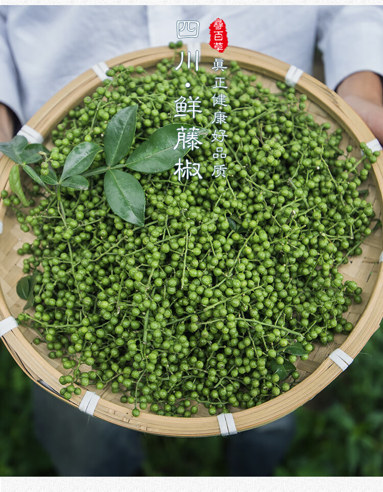 茗播滕椒青花椒新鮮四川特產花椒滕騰椒鮮花椒溼鮮生麻椒特麻真空