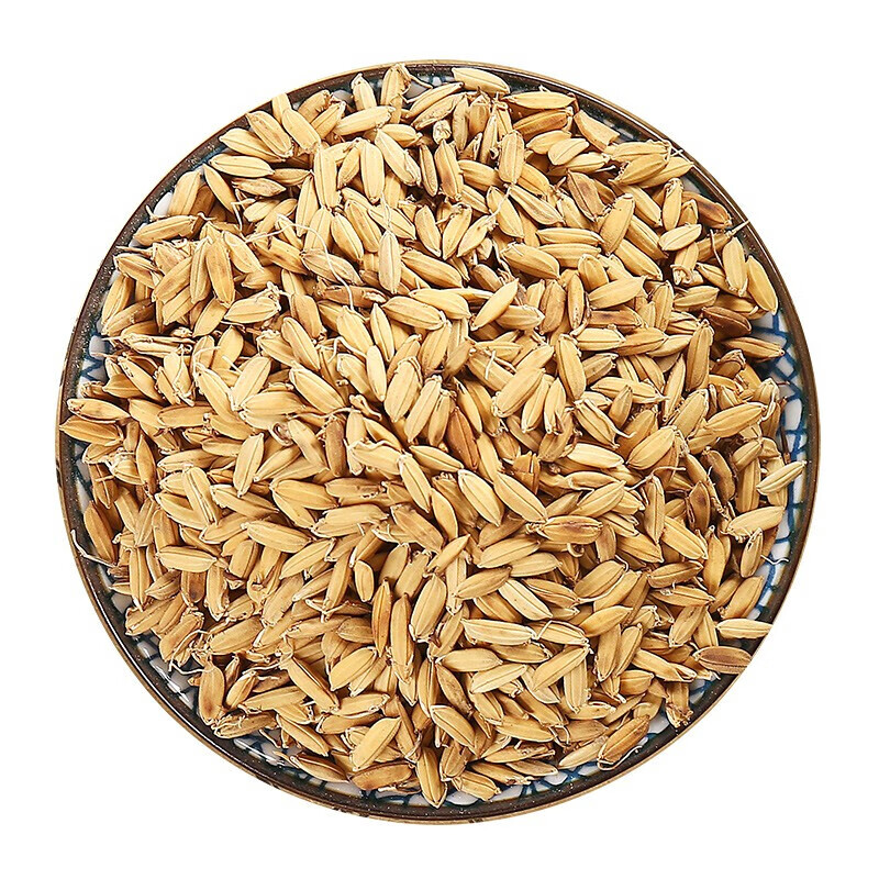 北京同仁堂炒稻芽药材 正宗炒熟稻芽 新鲜炒稻芽 谷芽麦芽优质500克