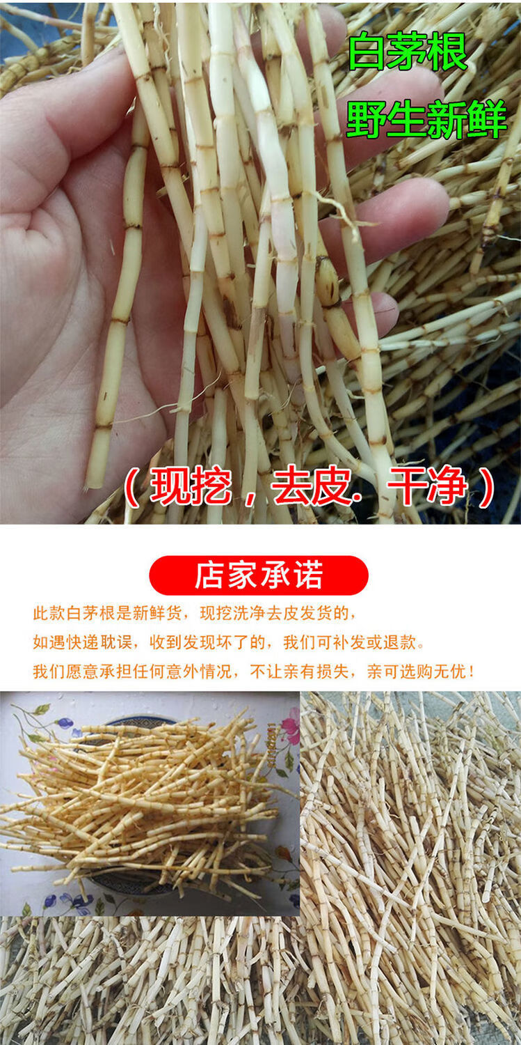 黄茅草图片功效作用图片