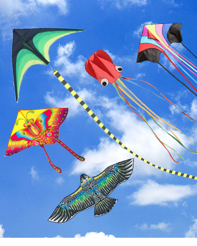 风筝儿童大型高档大人专用微风易飞抗风2020新款风筝 5.