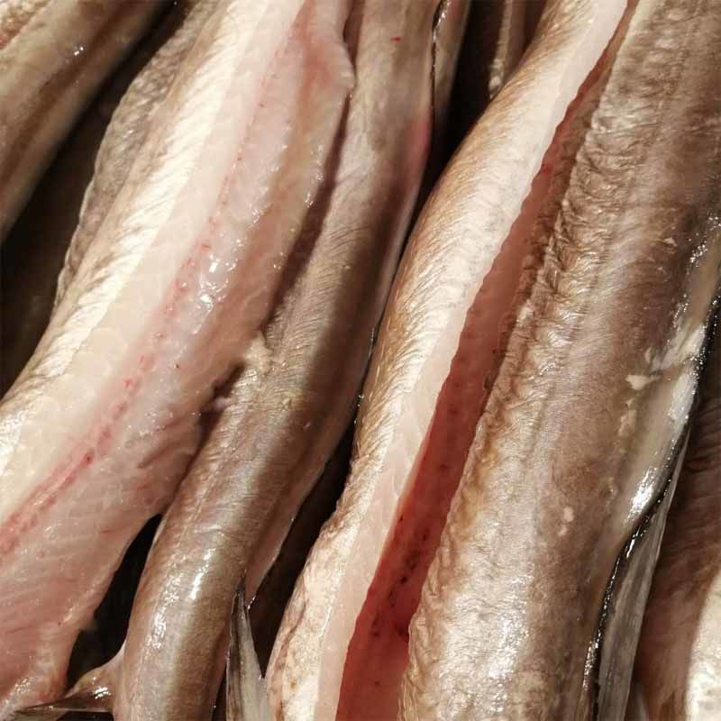 海鳗鱼霞浦新鲜大鳗鱼去头去内脏海鲜水产海鳗鱼饭鳗鱼片 3斤去头去