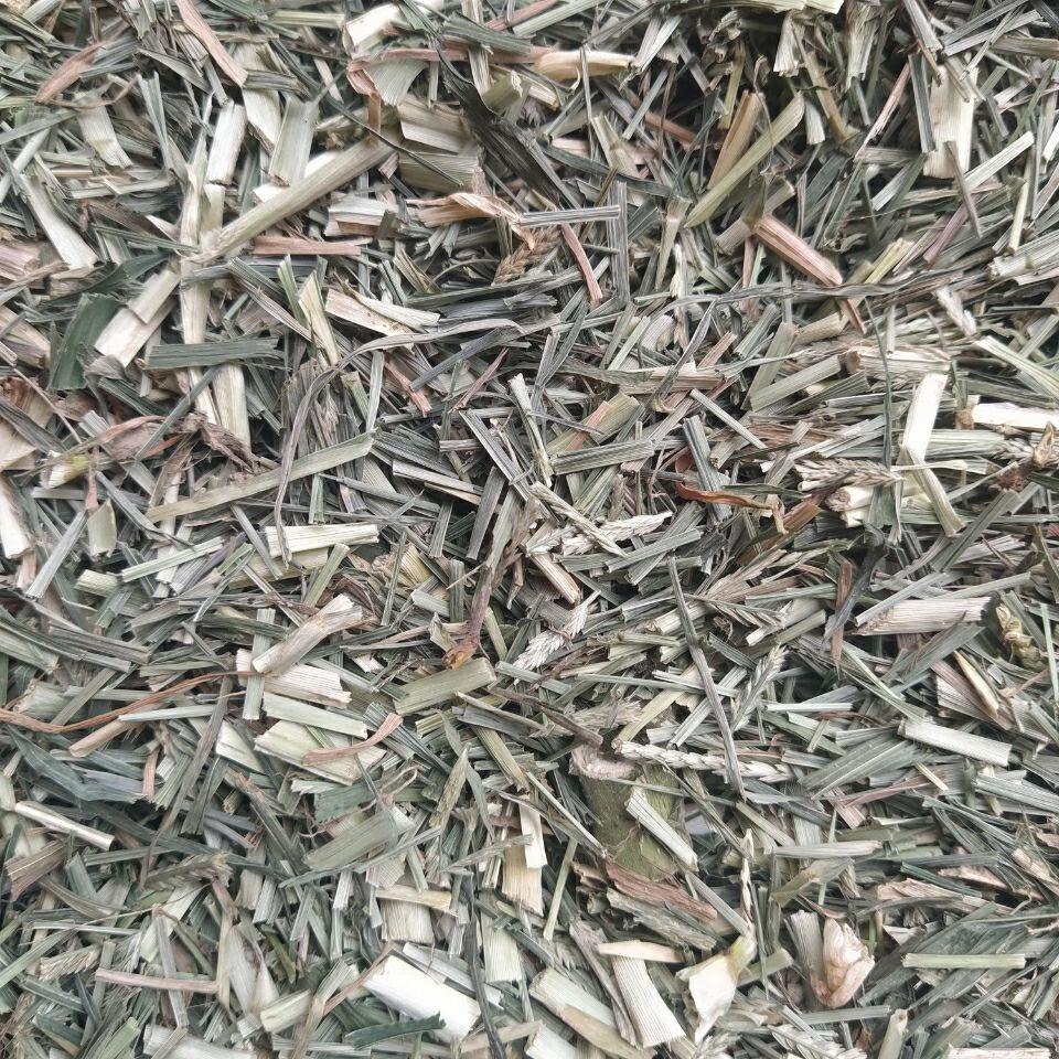 中药材 牛筋草 牛筋草干 新货青色牛筋草 牛筋草250克【图片 价格