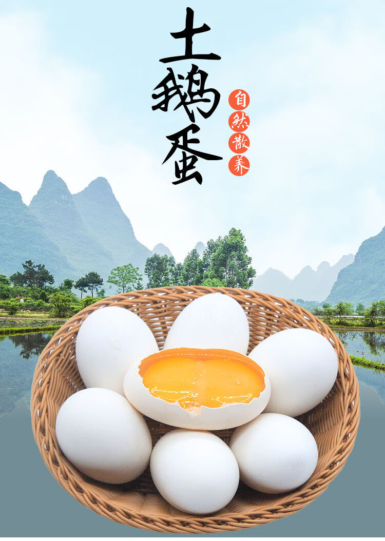 新鲜大鹅蛋超大枚农家散养鹅蛋新鲜孕妇去胎毒破损包赔12枚装均重100g