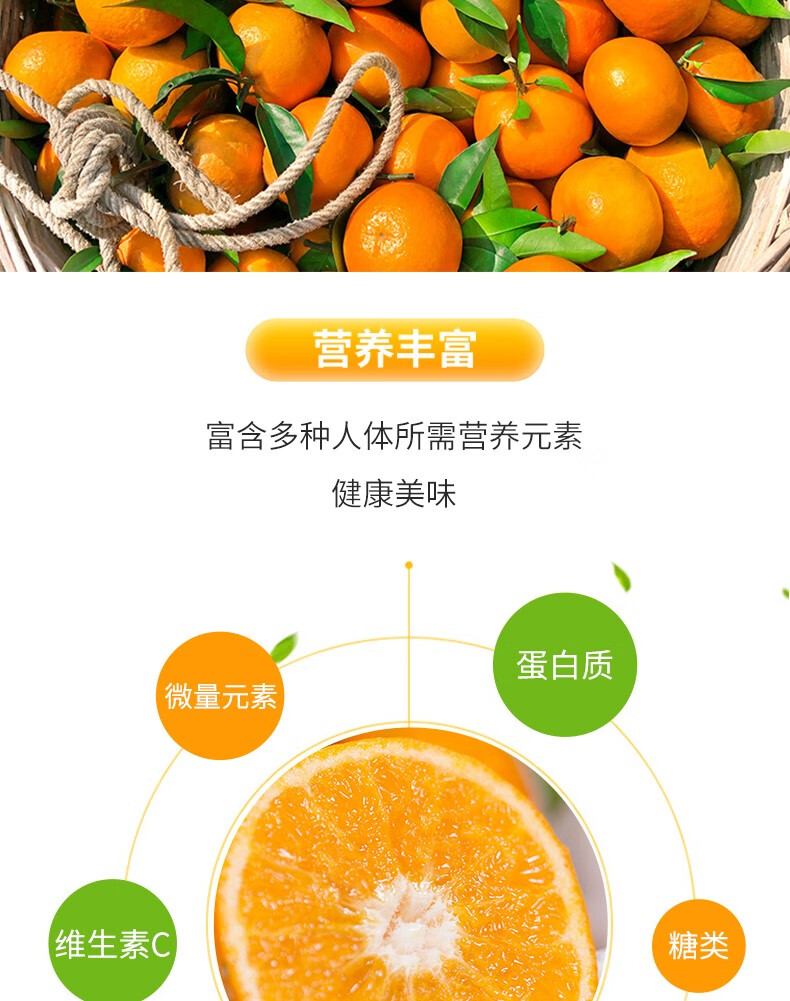 大橙橙橙子简介图片