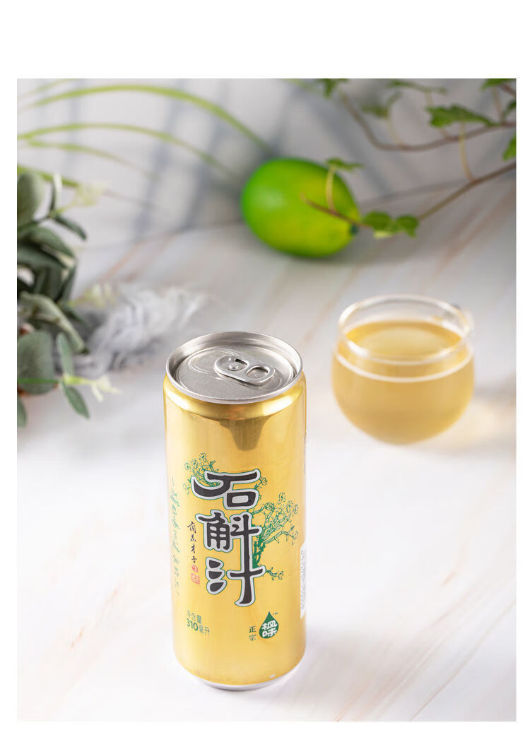 伟博正宗枫味石斛汁紫皮石斛原浆饮品植物型饮料6瓶/12瓶装/箱 一箱12