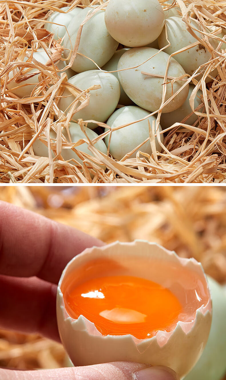 散养鸭蛋新鲜生鸭蛋微山湖区现捡农家散养放养土鸭蛋价华海春 优选60