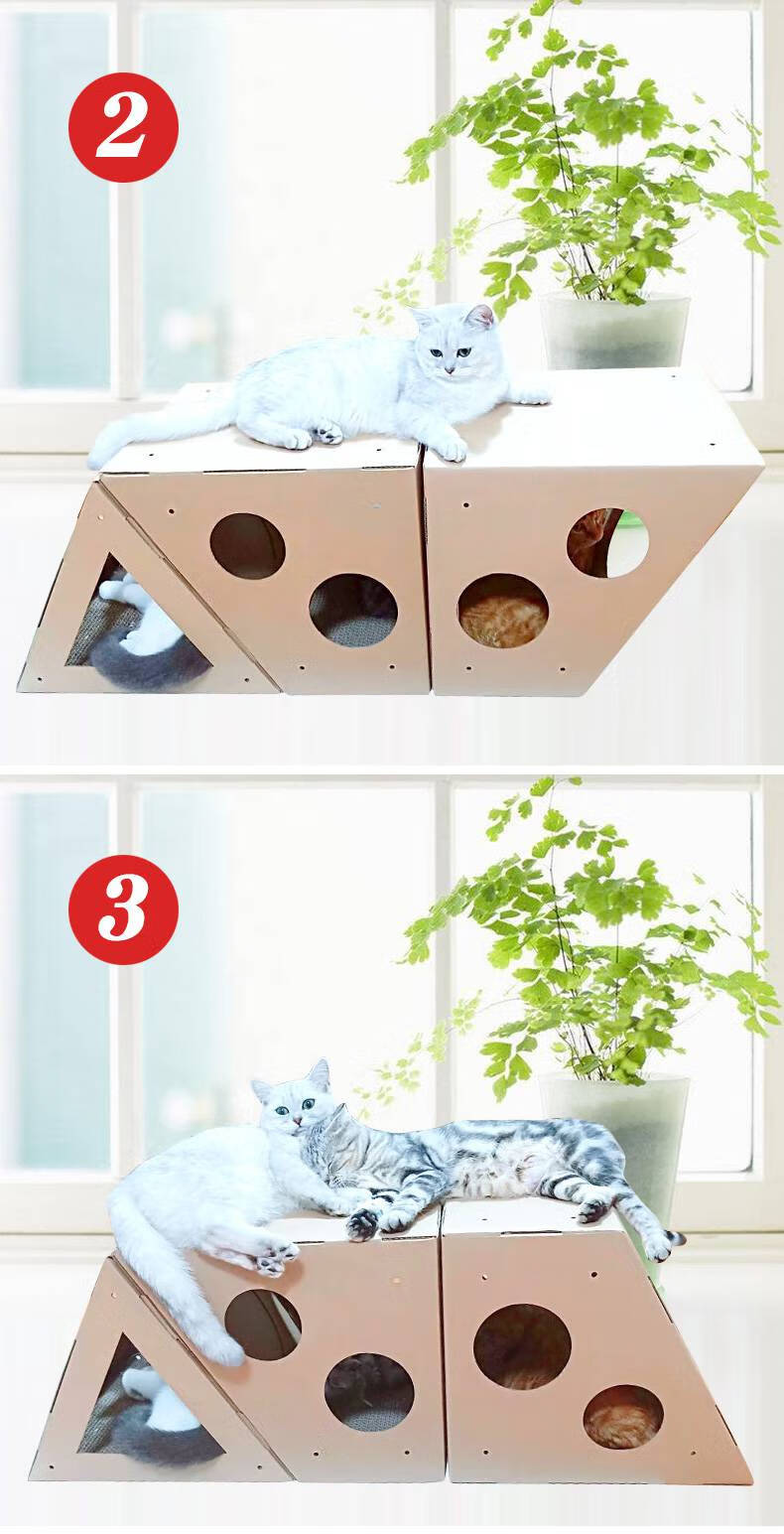 最简单的猫爬架diy纸箱图片