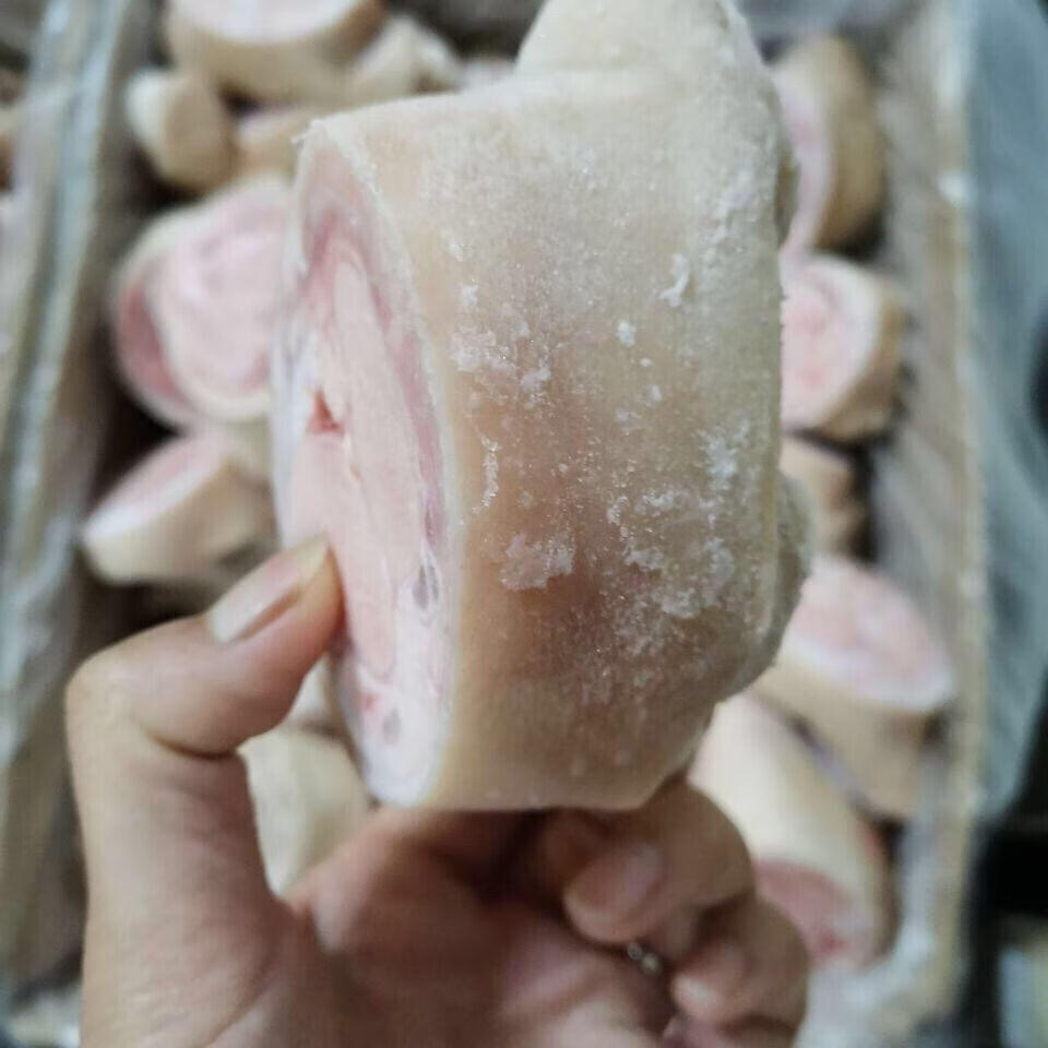 新鲜冷冻猪脚圈猪脚块蹄块猪肘子猪腿10斤20斤江浙沪皖10斤山东湖北