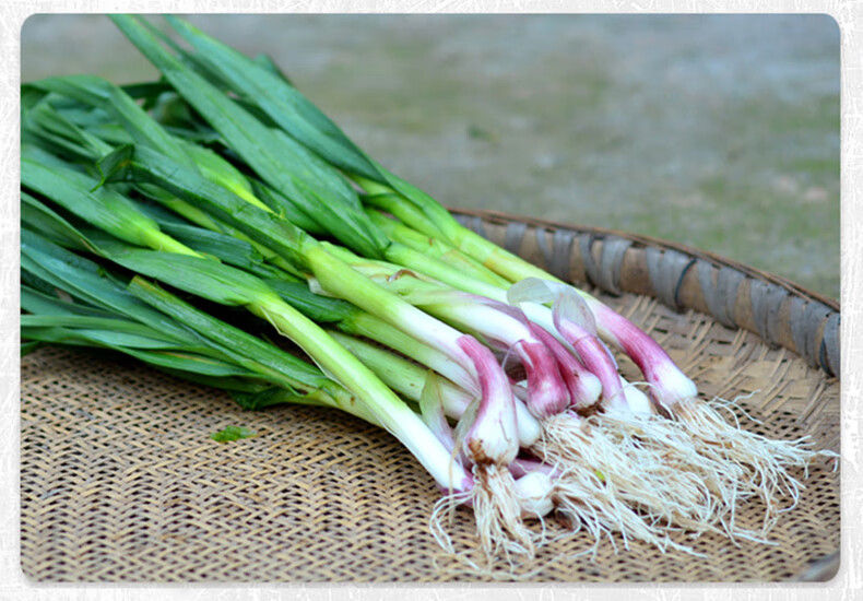 现挖新鲜红皮蒜苗大蒜头紫皮青蒜大蒜叶蒜薹25kg