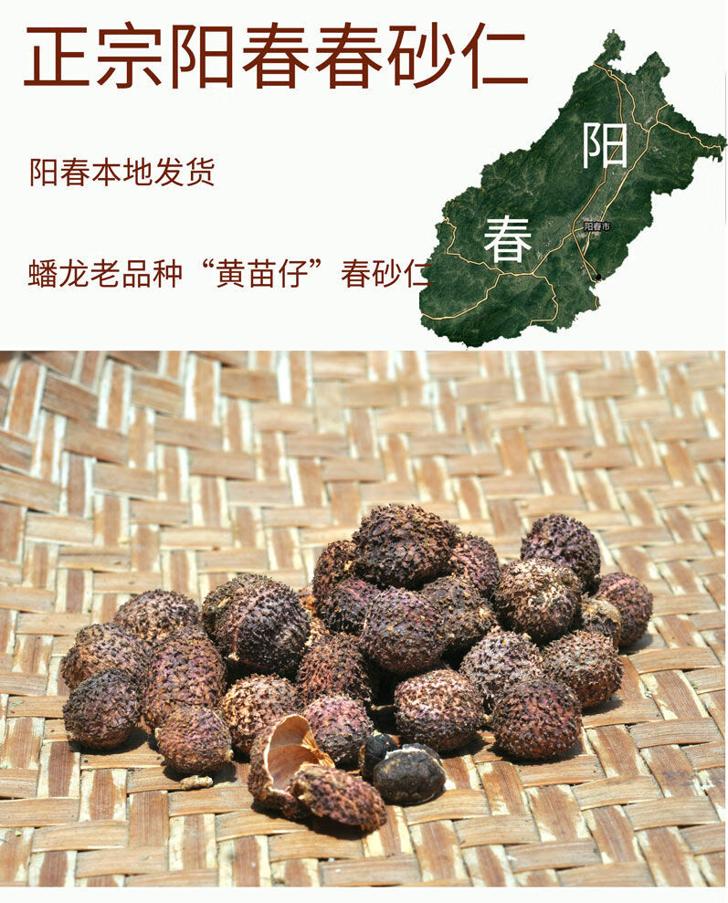 2021年野生新晒阳春砂仁正宗泡茶养胃煲汤健脾暖胃中药阳春砂仁果生